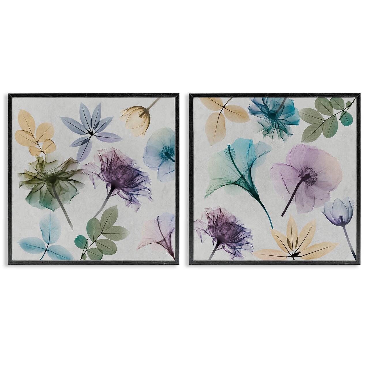Stupell Industries X-Ray Floral Collage 2 pc Framed Giclee Wall Art Set Design by Albert Koetsier